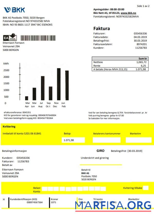 Realistic Norway BKK electricity utility bill template in Word and PDF format, good for address prove
